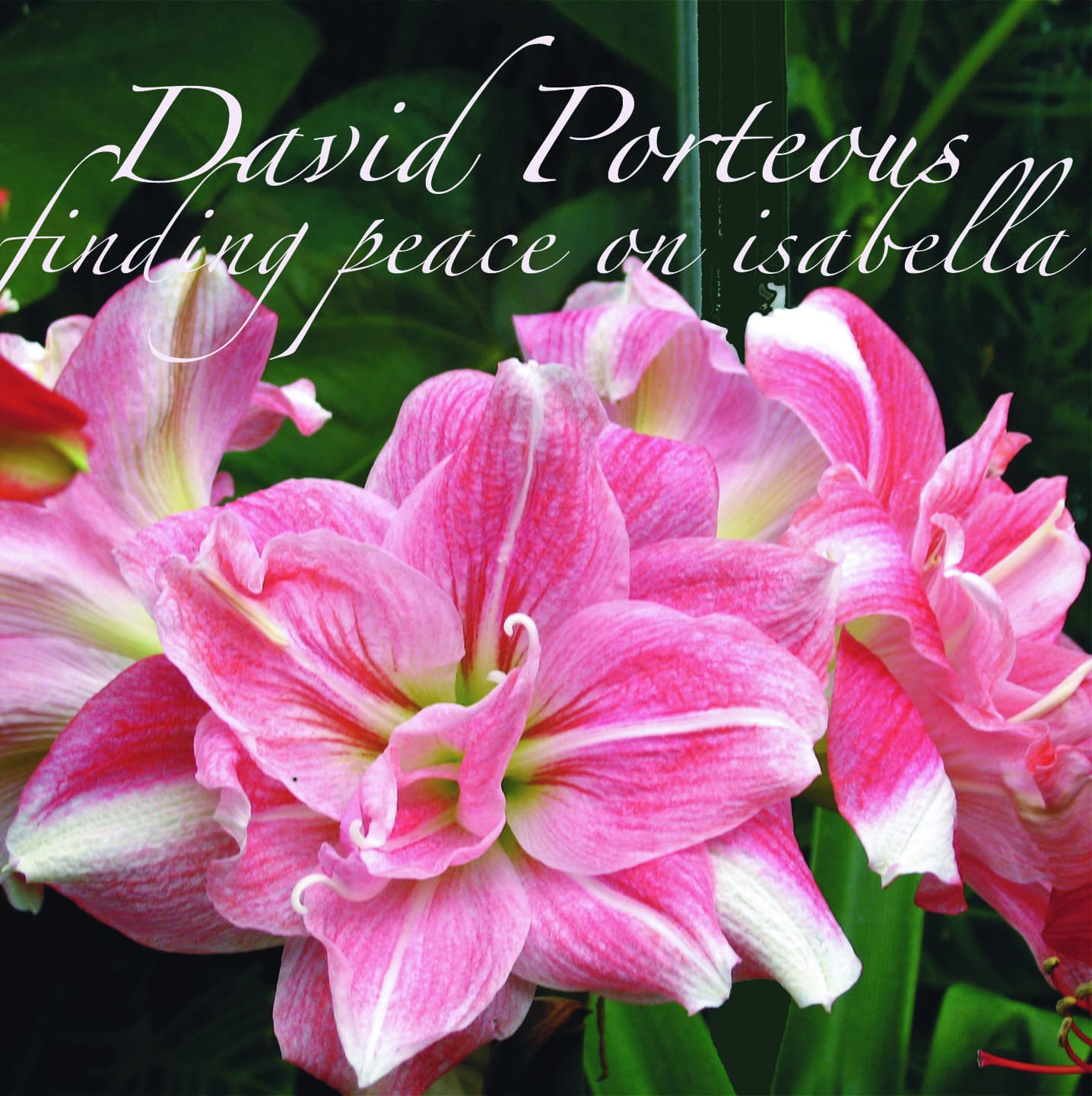 Finding Peace On Isabella album cover