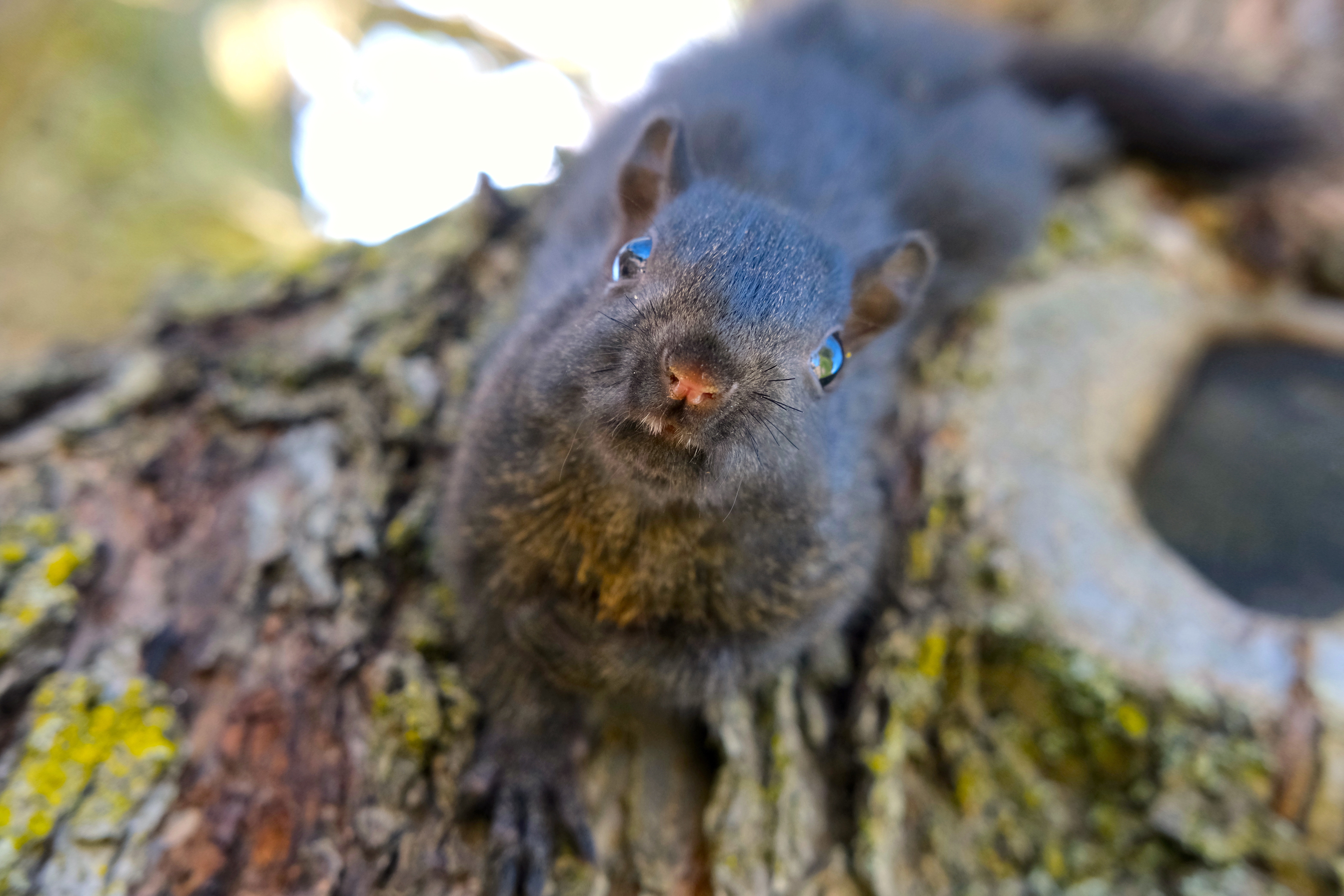 Misc. photography photo 9
